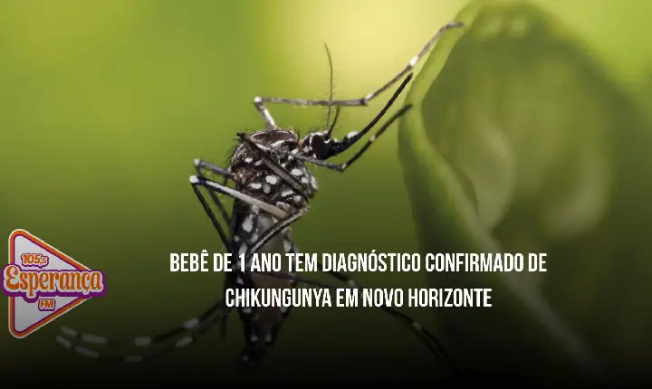 Bebê de 1 ano tem diagnóstico confirmado de chikungunya em Novo Horizonte