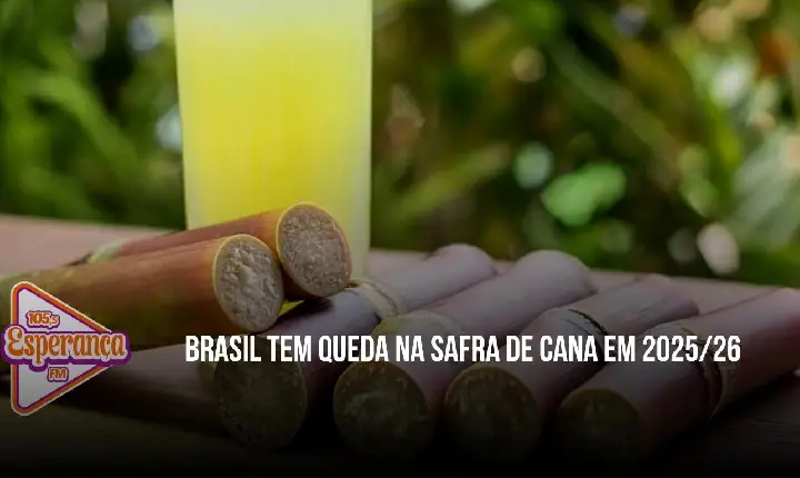 Brasil tem queda na safra de cana em 2025/26