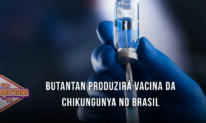 Butantan produzirá vacina da chikungunya no Brasil