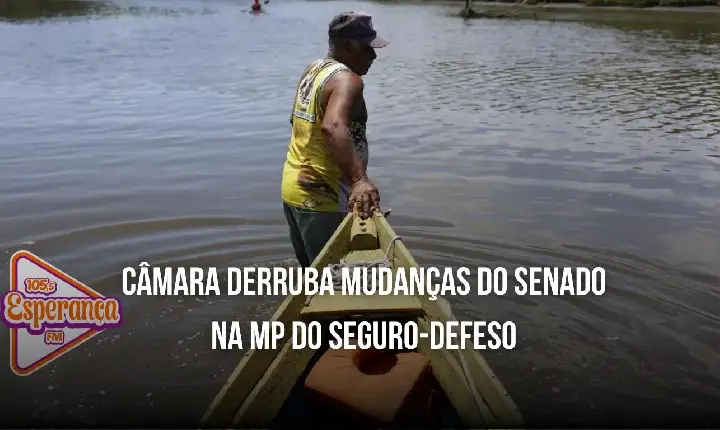 Câmara derruba mudanças do Senado na MP do Seguro-Defeso