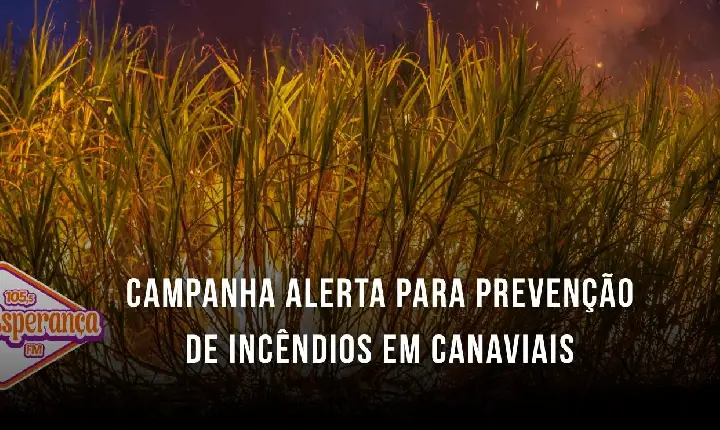 Campanha alerta para prevenção de incêndios em canaviais