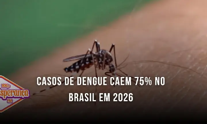Casos de dengue caem 75% no Brasil em 2026