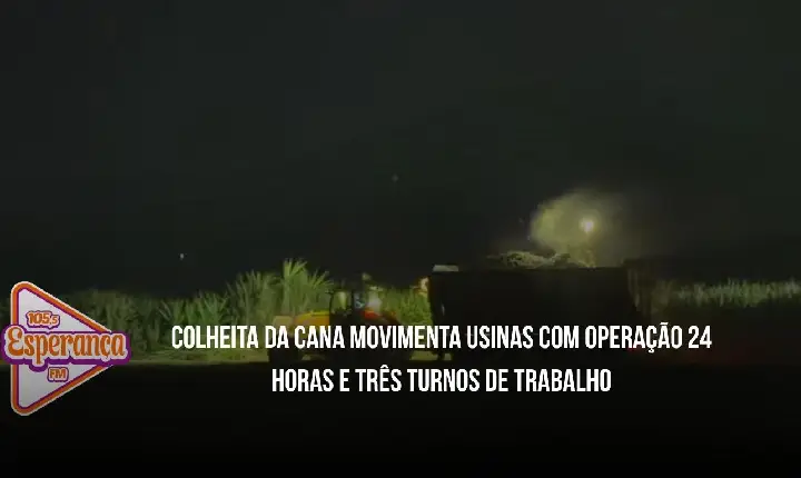 Colheita da cana movimenta usinas com operação 24 horas e três turnos de trabalho