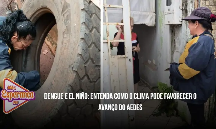 Dengue e El Niño: entenda como o clima pode favorecer o avanço do Aedes