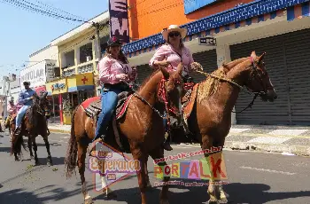 Galeria de Imagem