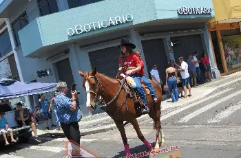 Galeria de Imagem