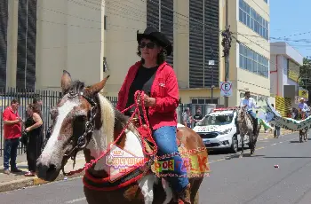 Galeria de Imagem