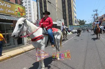 Galeria de Imagem