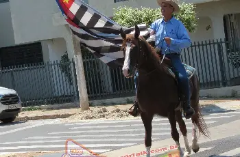Galeria de Imagem