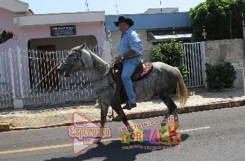 Galeria de Imagem