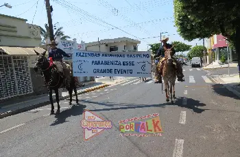 Galeria de Imagem