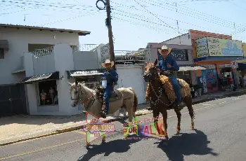 Galeria de Imagem