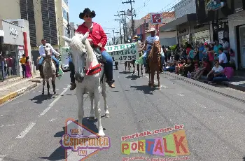 Galeria de Imagem