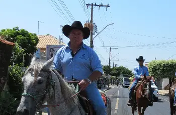 Galeria de Imagem