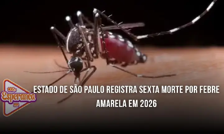 Estado de São Paulo registra sexta morte por febre amarela em 2026