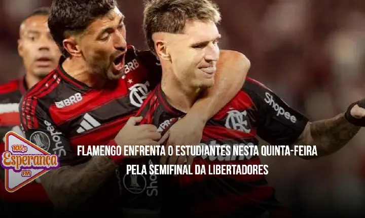 Flamengo enfrenta o Estudiantes nesta quinta-feira pela semifinal da Libertadores