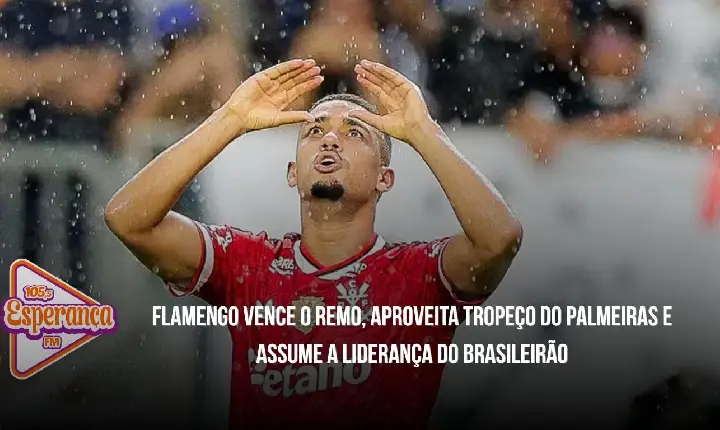 Flamengo vence o Remo, aproveita tropeço do Palmeiras e assume a liderança do Brasileirão