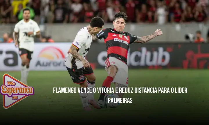 Flamengo vence o Vitória e reduz distância para o líder Palmeiras