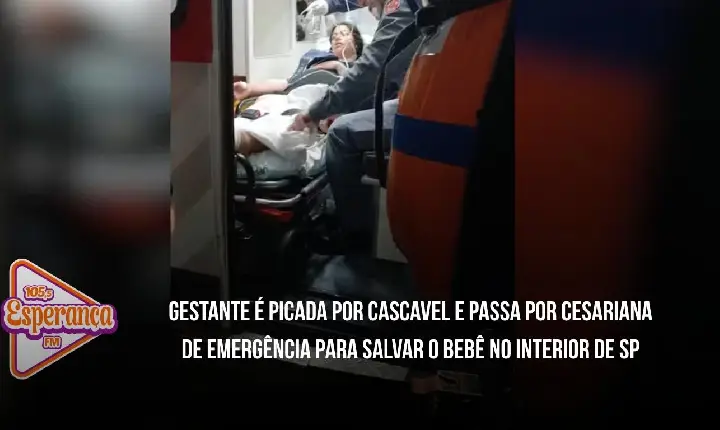 Gestante é picada por cascavel e passa por cesariana de emergência para salvar o bebê no interior de SP