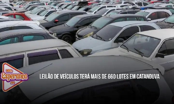 Leilão de veículos terá mais de 660 lotes em Catanduva