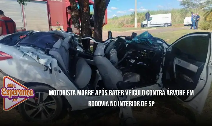 Motorista morre após bater veículo contra árvore em rodovia no interior de SP