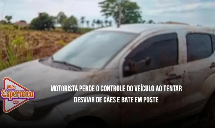 Motorista perde o controle do veículo ao tentar desviar de cães e bate em poste