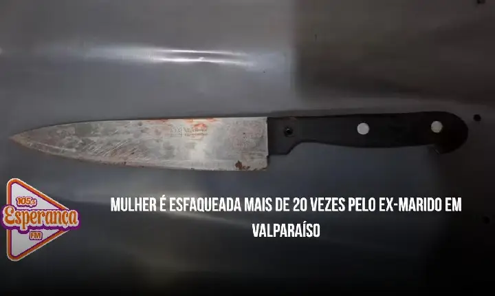 Mulher é esfaqueada mais de 20 vezes pelo ex-marido em Valparaíso