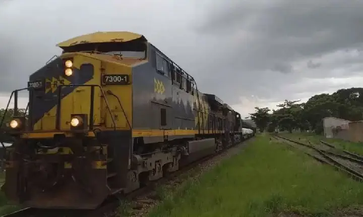 Mulher tem cabeça e braços arrancados após ser atropelada por trem