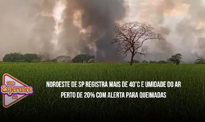 Noroeste de SP registra mais de 40°C e umidade do ar perto de 20% com alerta para queimadas