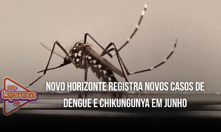 Novo Horizonte registra novos casos de dengue e chikungunya em junho