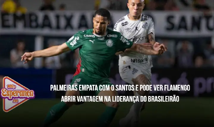 Palmeiras empata com o Santos e pode ver Flamengo abrir vantagem na liderança do Brasileirão