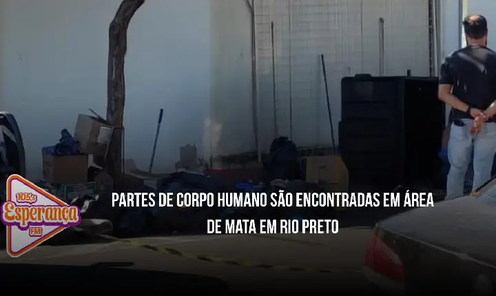 Partes de corpo humano são encontradas em área de mata em Rio Preto