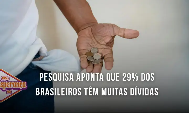 Pesquisa aponta que 29% dos brasileiros têm muitas dívidas