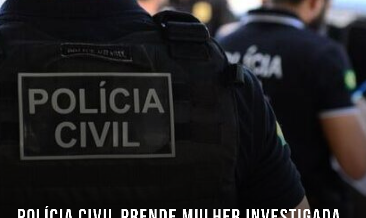Polícia Civil prende mulher investigada por série de furtos em Novo Horizonte