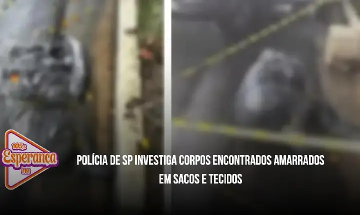 Polícia de SP investiga corpos encontrados amarrados em sacos e tecidos