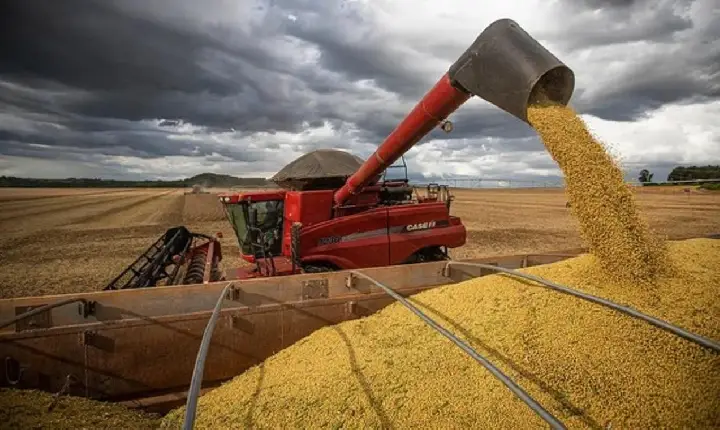 Produção brasileira de grãos deve ser 14,2% maior