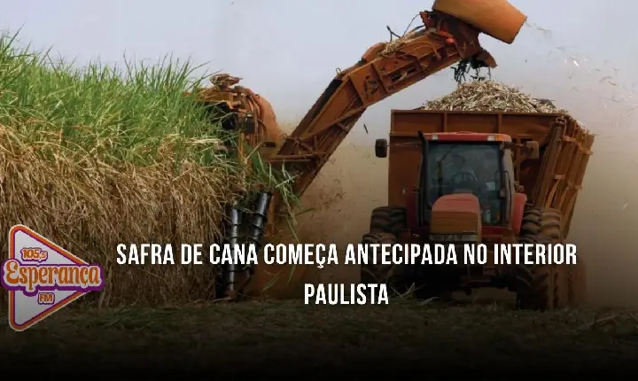 Safra de cana começa antecipada no interior paulista