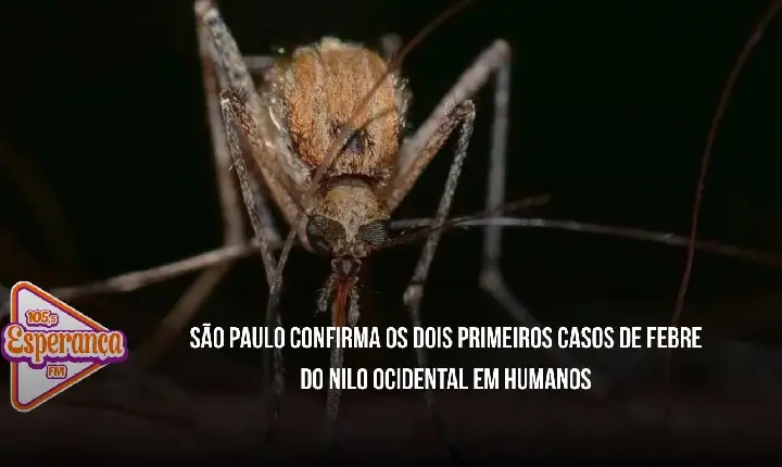 São Paulo confirma os dois primeiros casos de Febre do Nilo Ocidental em humanos