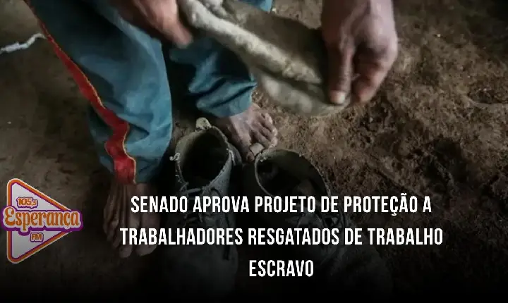 Senado aprova projeto de proteção a trabalhadores resgatados de trabalho escravo