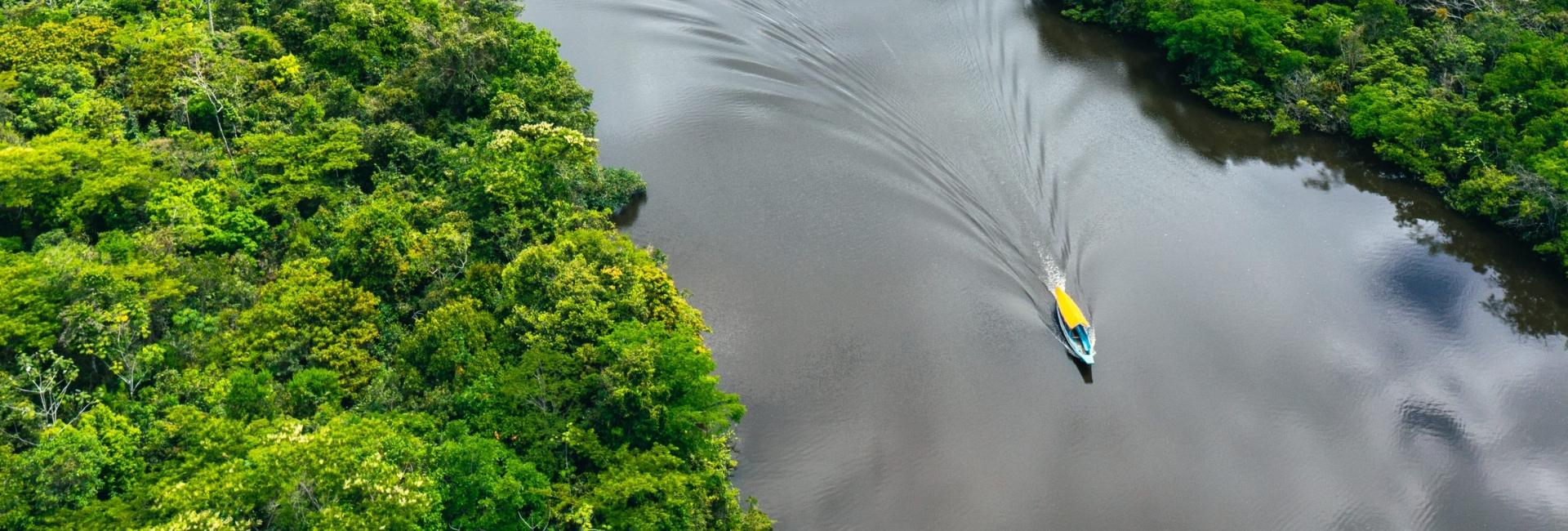 Alemanha volta a investir no Fundo Amazônia