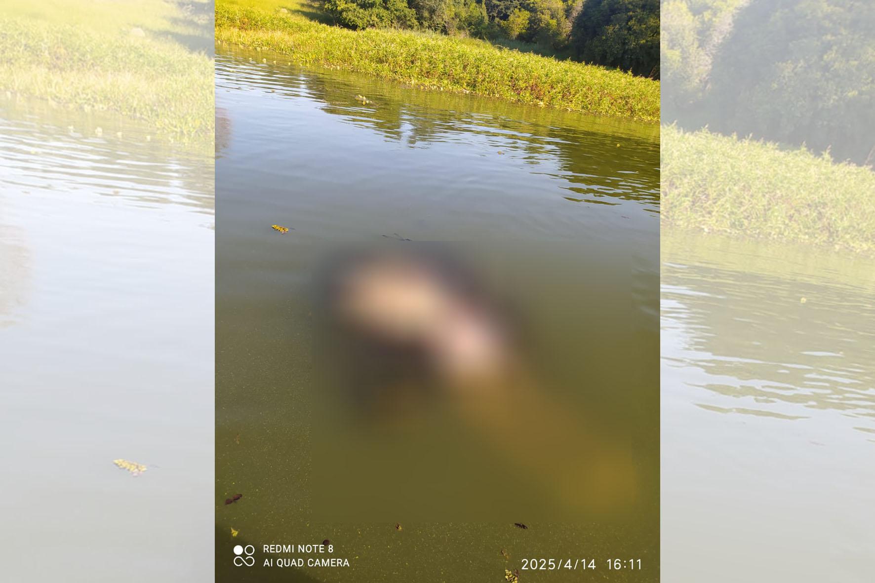 Homem é encontrado morto sem os braços e amarrado com um peso por uma corda no rio Tietê em Sales (SP)