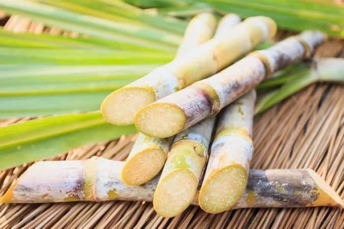 Curso gratuito de processamento de cana-de-açúcar está com inscrições abertas em Novo Horizonte