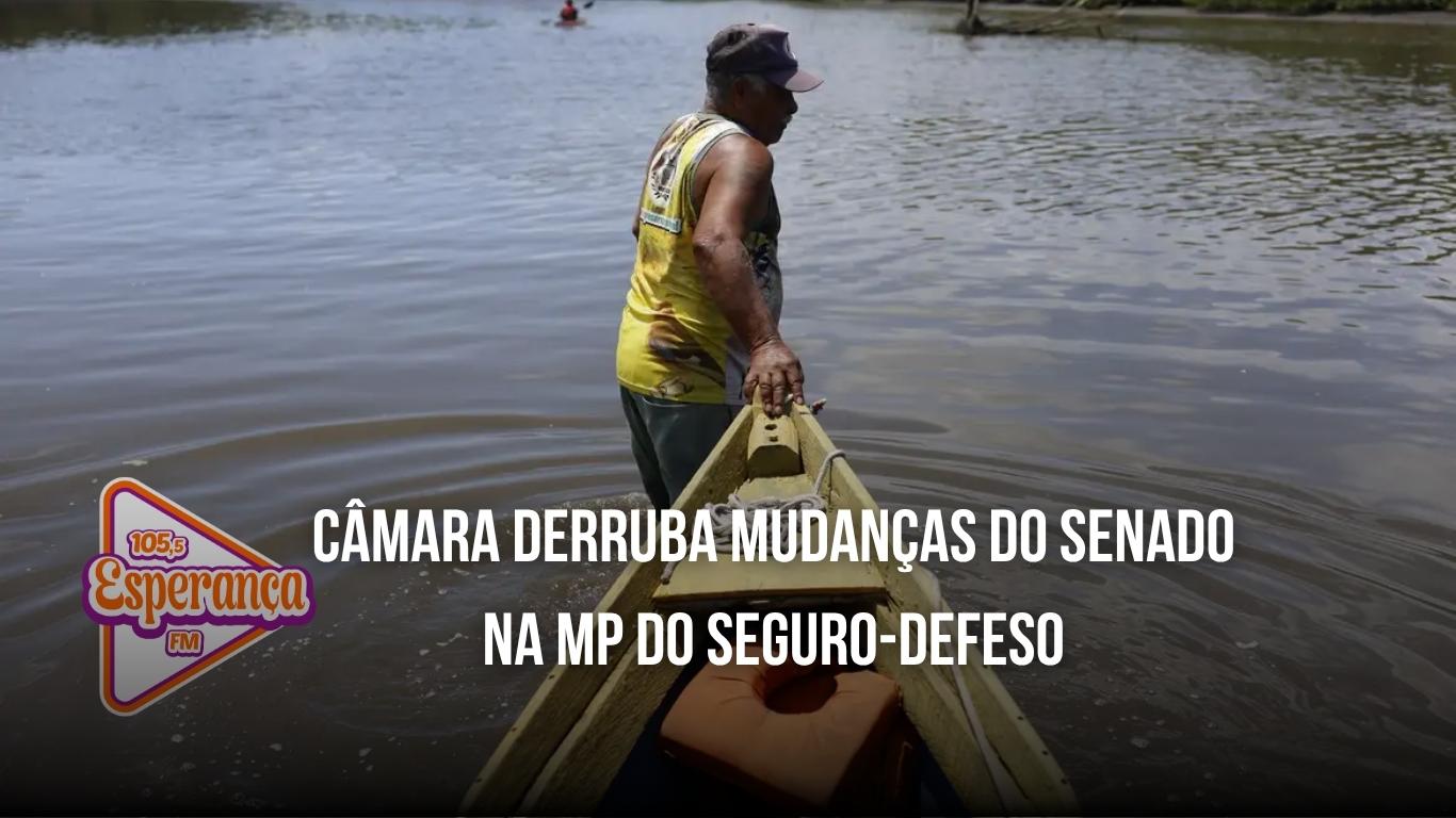 Câmara derruba mudanças do Senado na MP do Seguro-Defeso