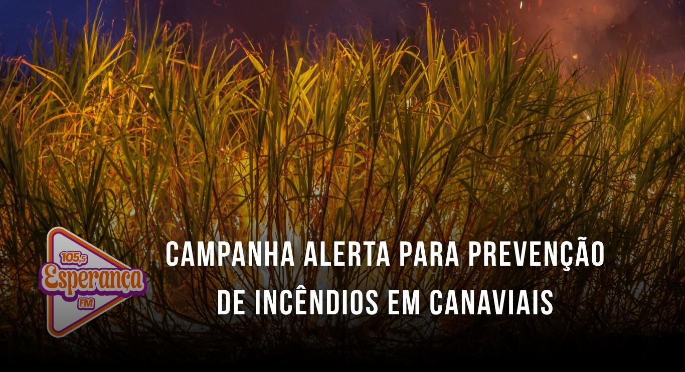Campanha alerta para prevenção de incêndios em canaviais