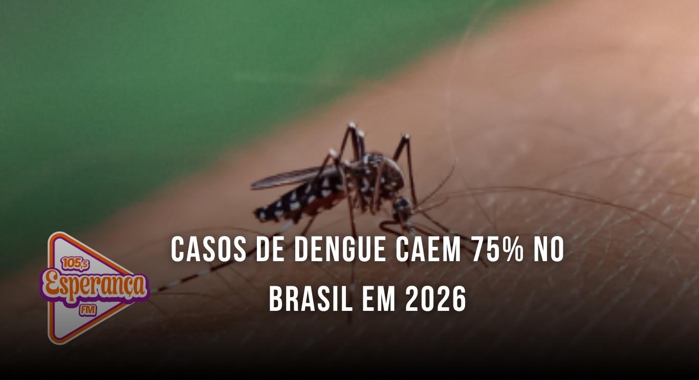 Casos de dengue caem 75% no Brasil em 2026
