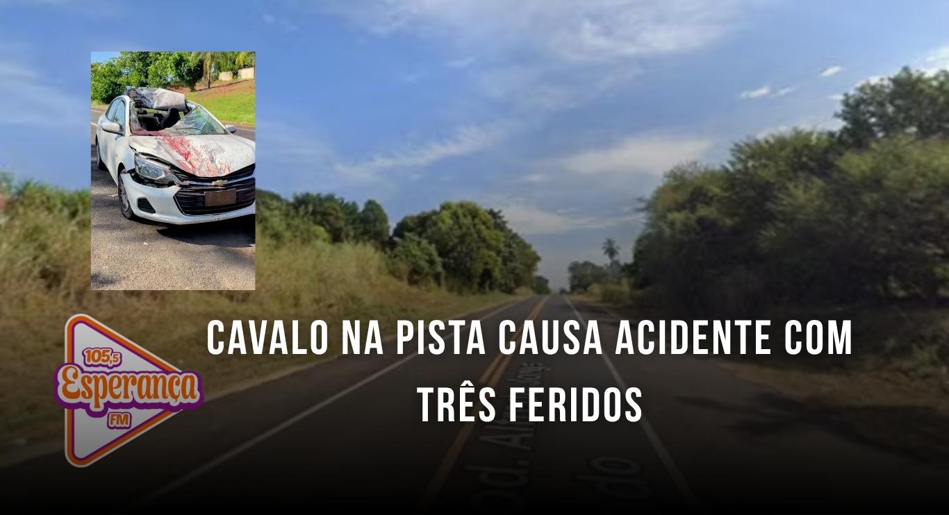 Cavalo na pista causa acidente com três feridos