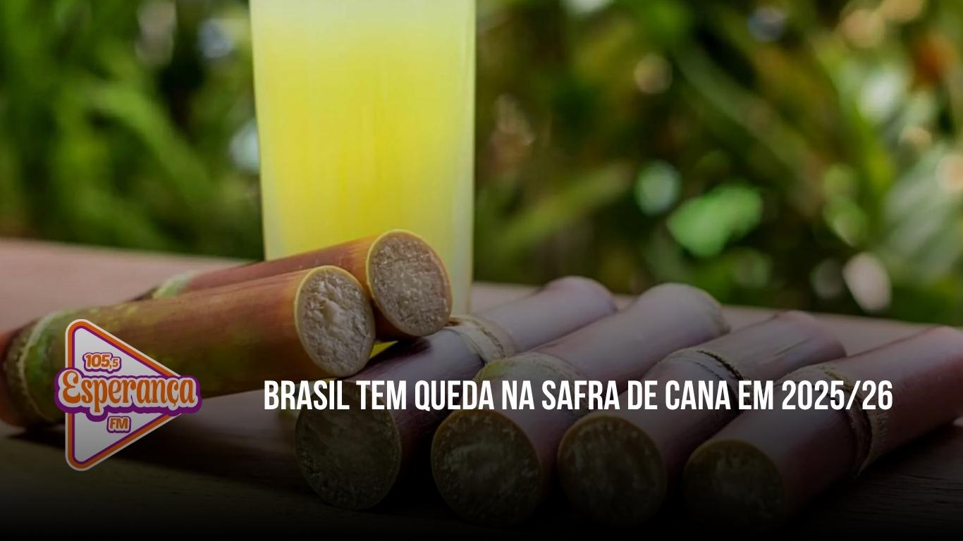 Brasil tem queda na safra de cana em 2025/26