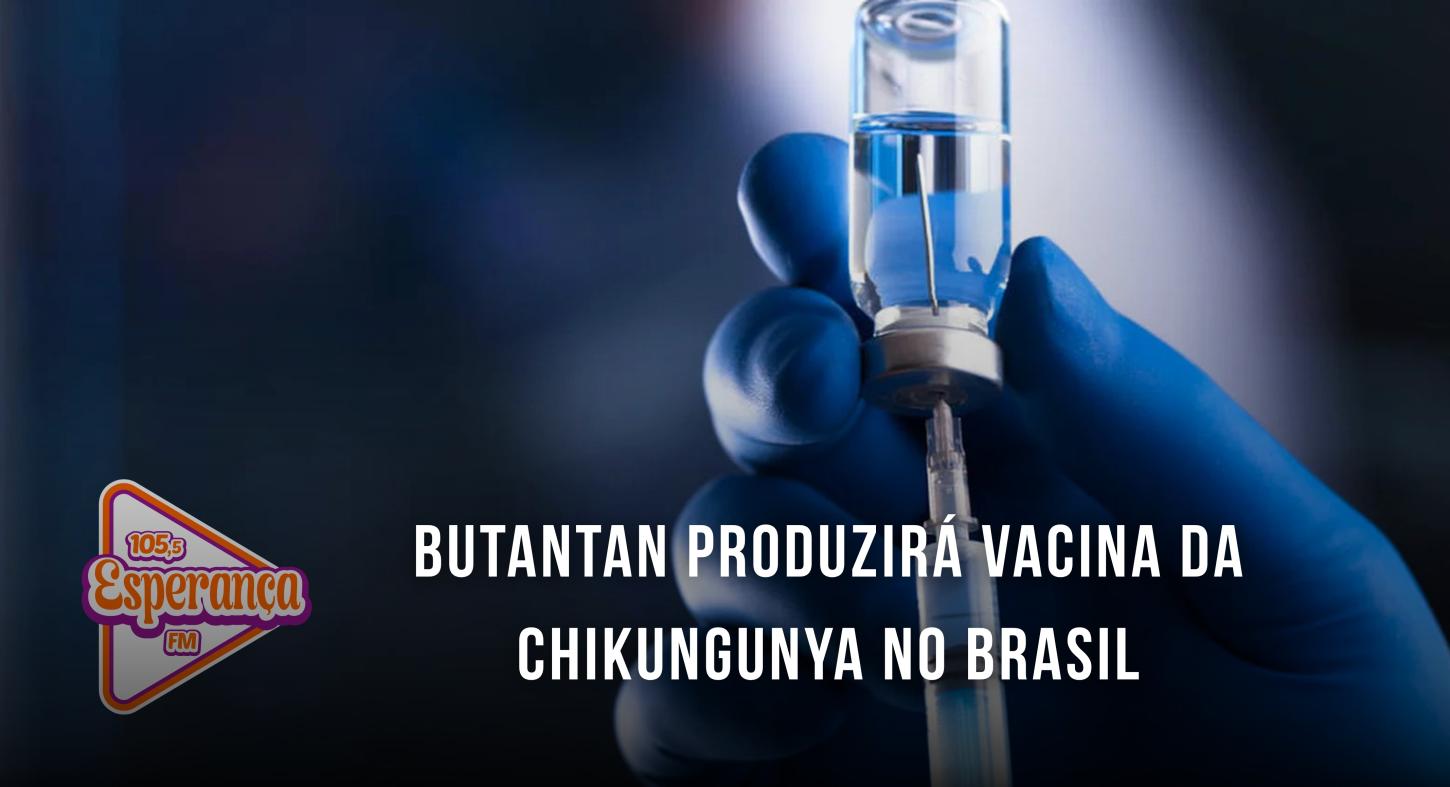 Butantan produzirá vacina da chikungunya no Brasil