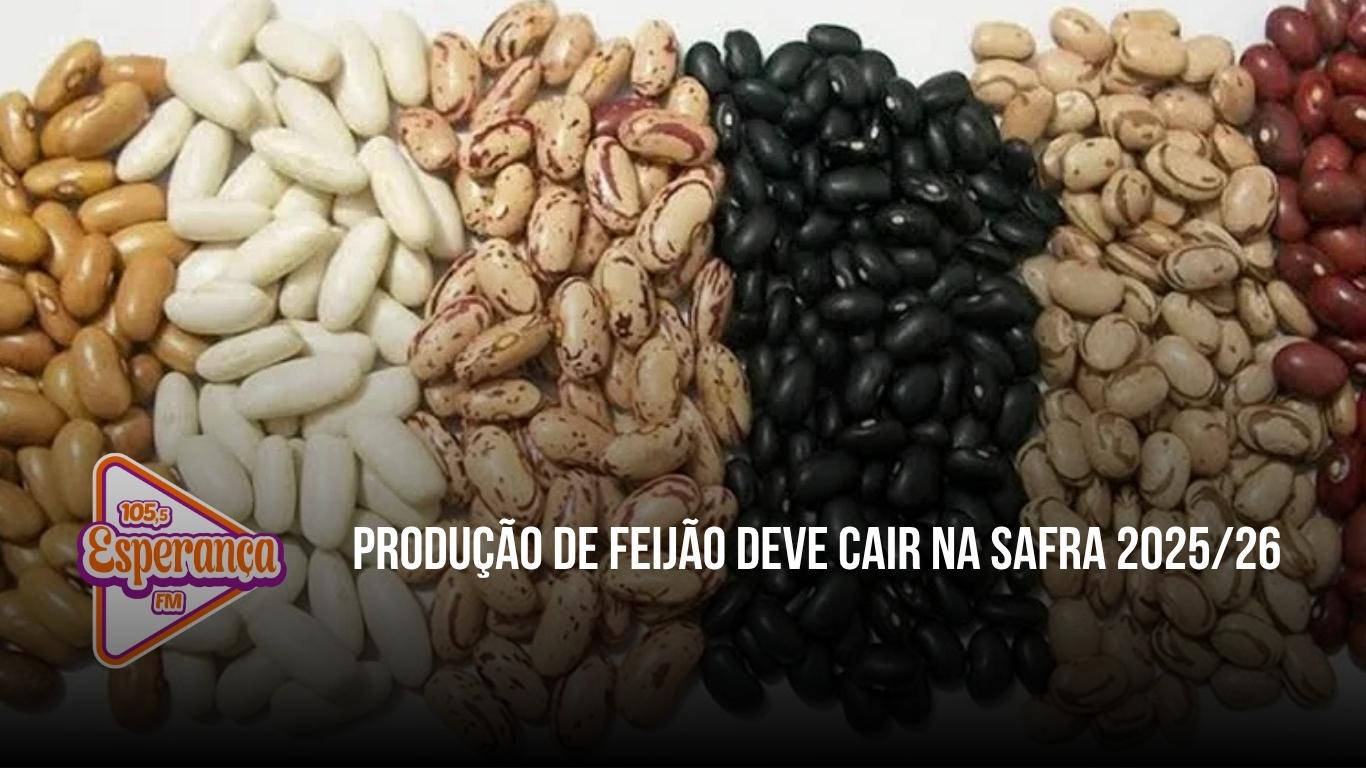 Produção de feijão deve cair na safra 2025/26