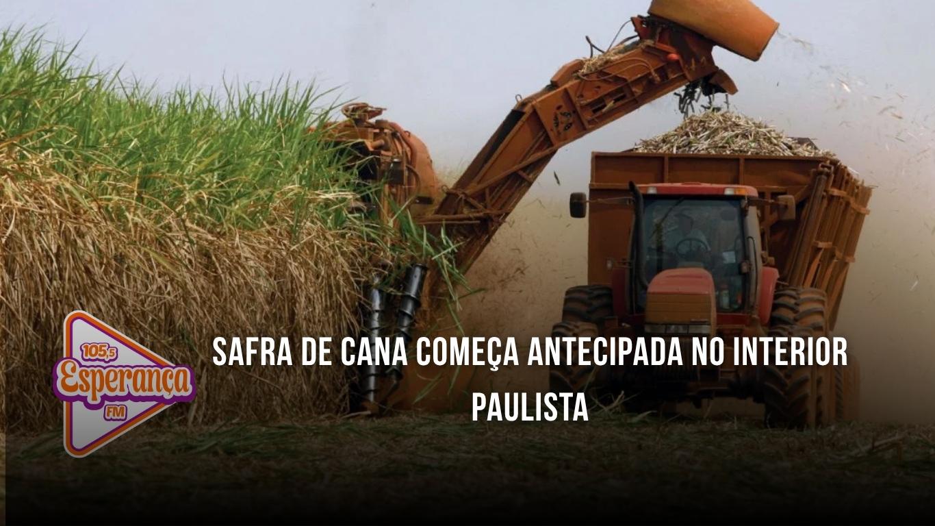 Safra de cana começa antecipada no interior paulista